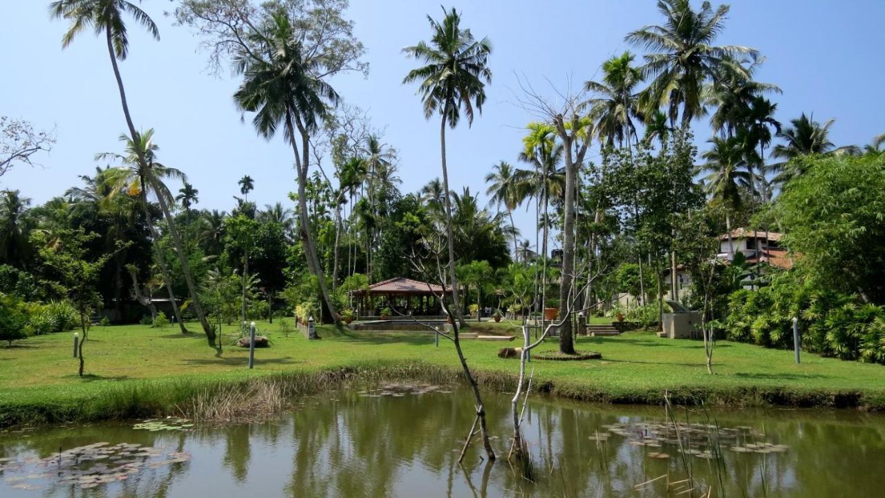 Avalon Village Resort Induruwa Exteriér fotografie