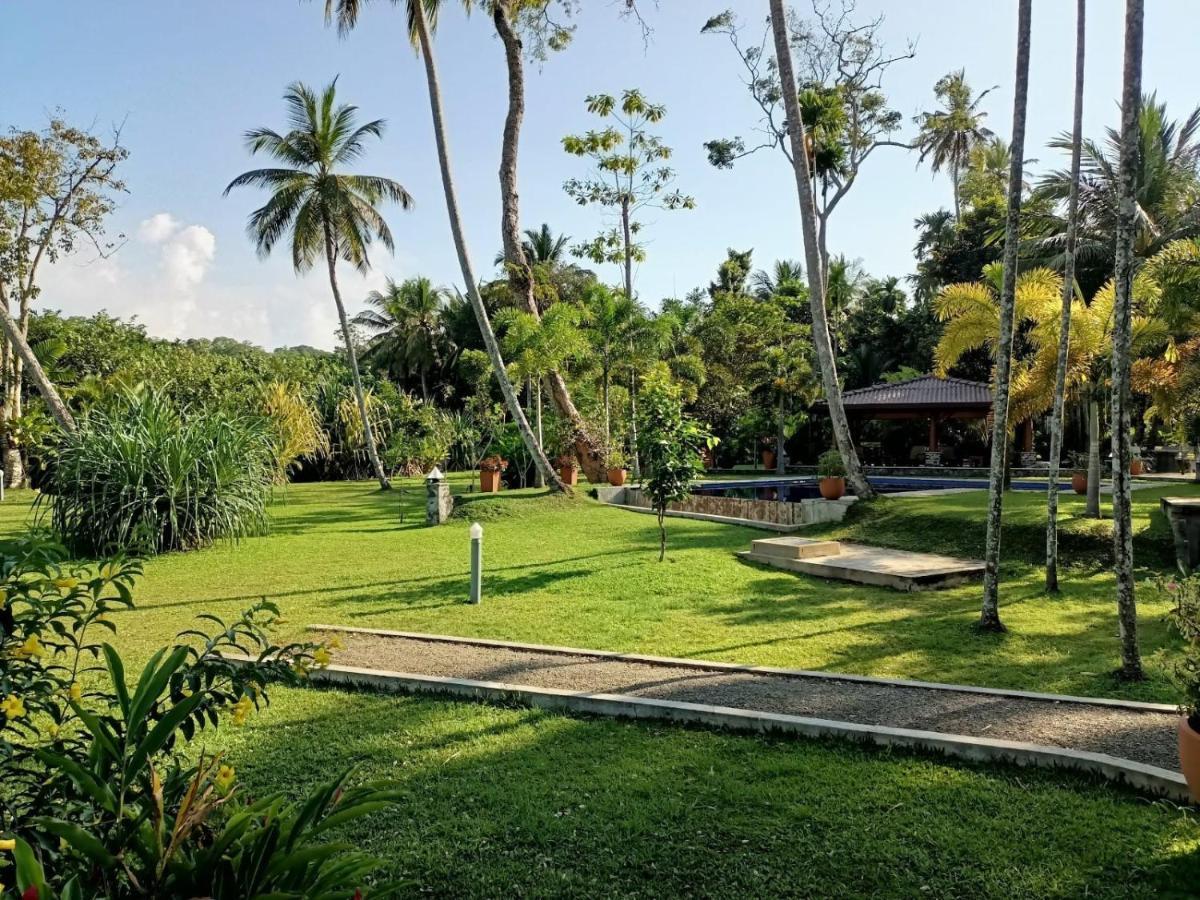 Avalon Village Resort Induruwa Exteriér fotografie