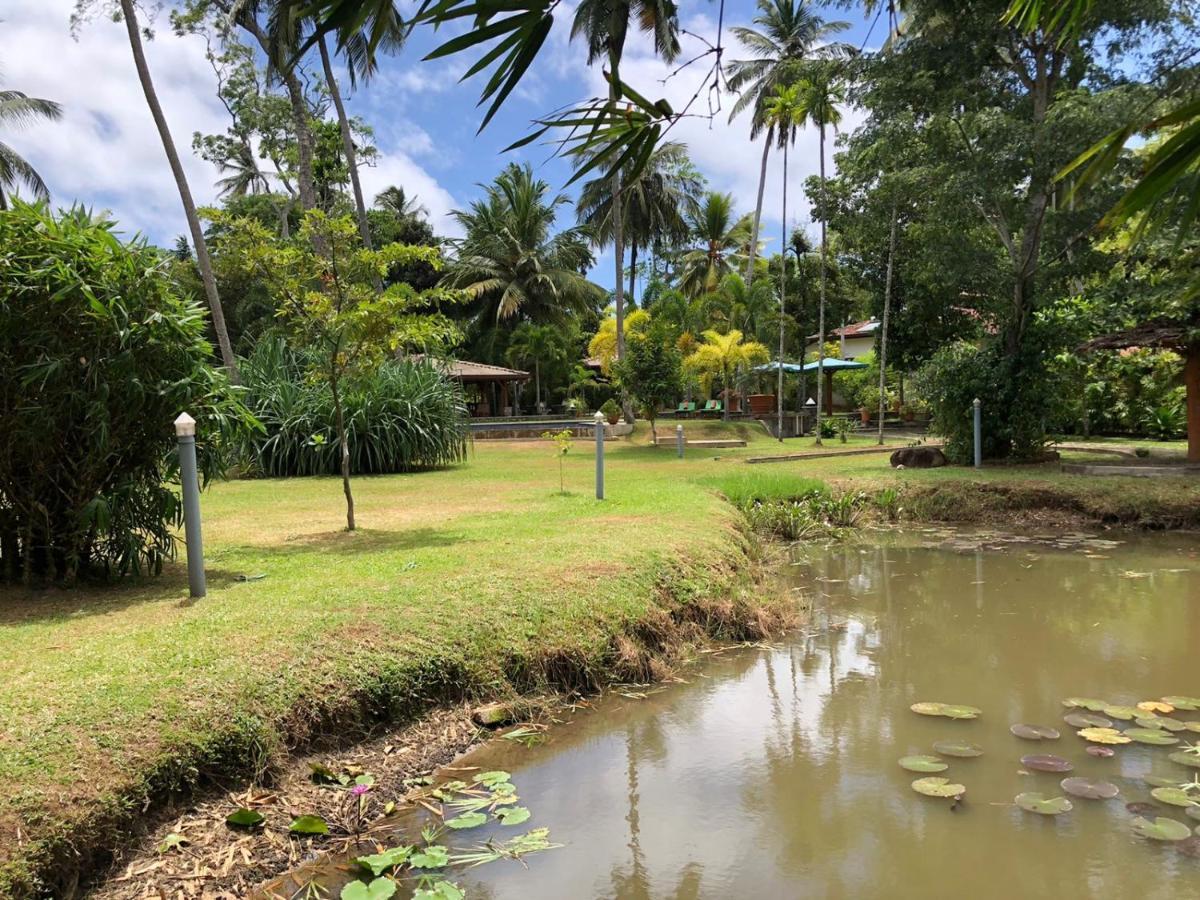 Avalon Village Resort Induruwa Exteriér fotografie