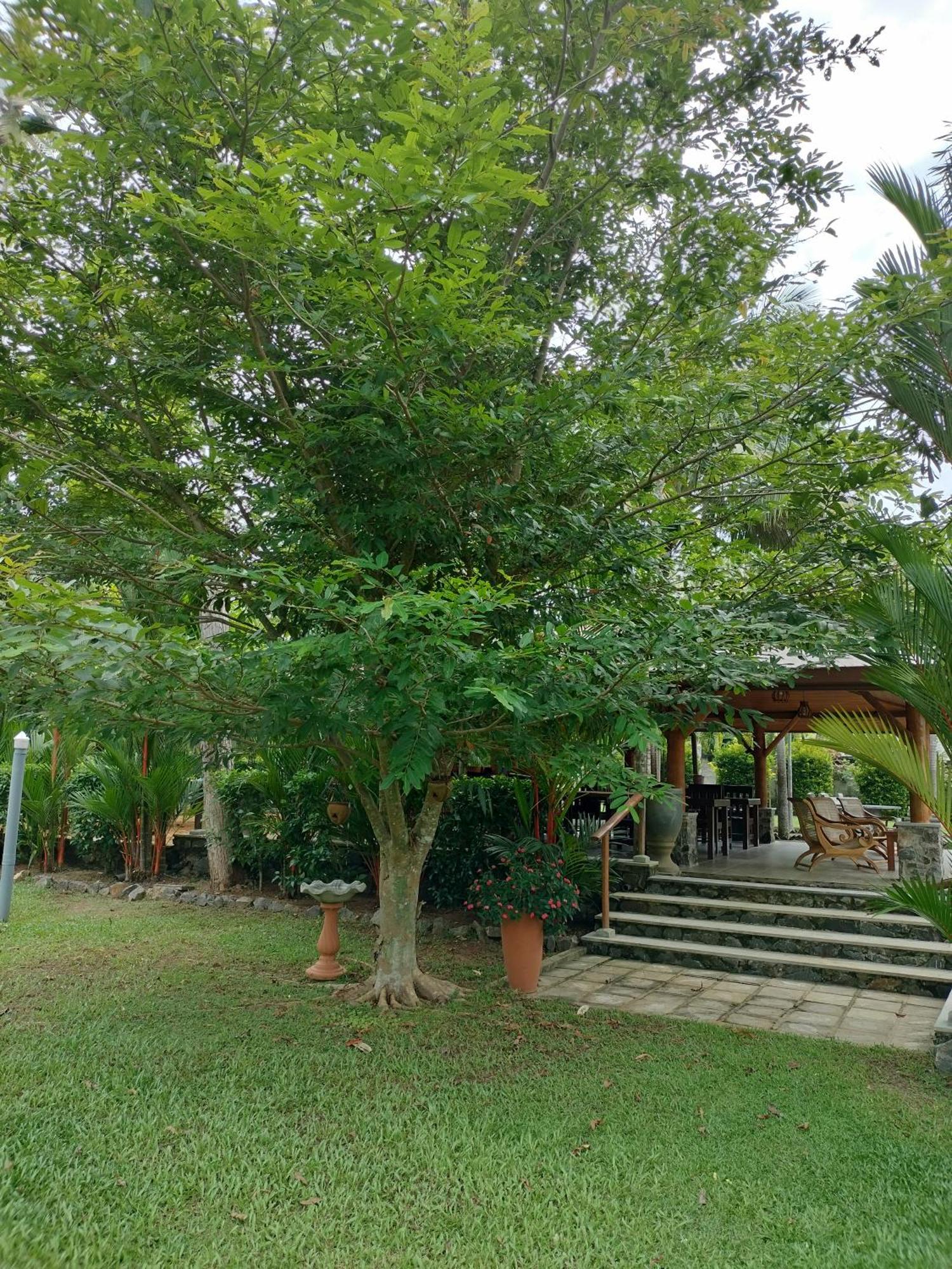 Avalon Village Resort Induruwa Exteriér fotografie