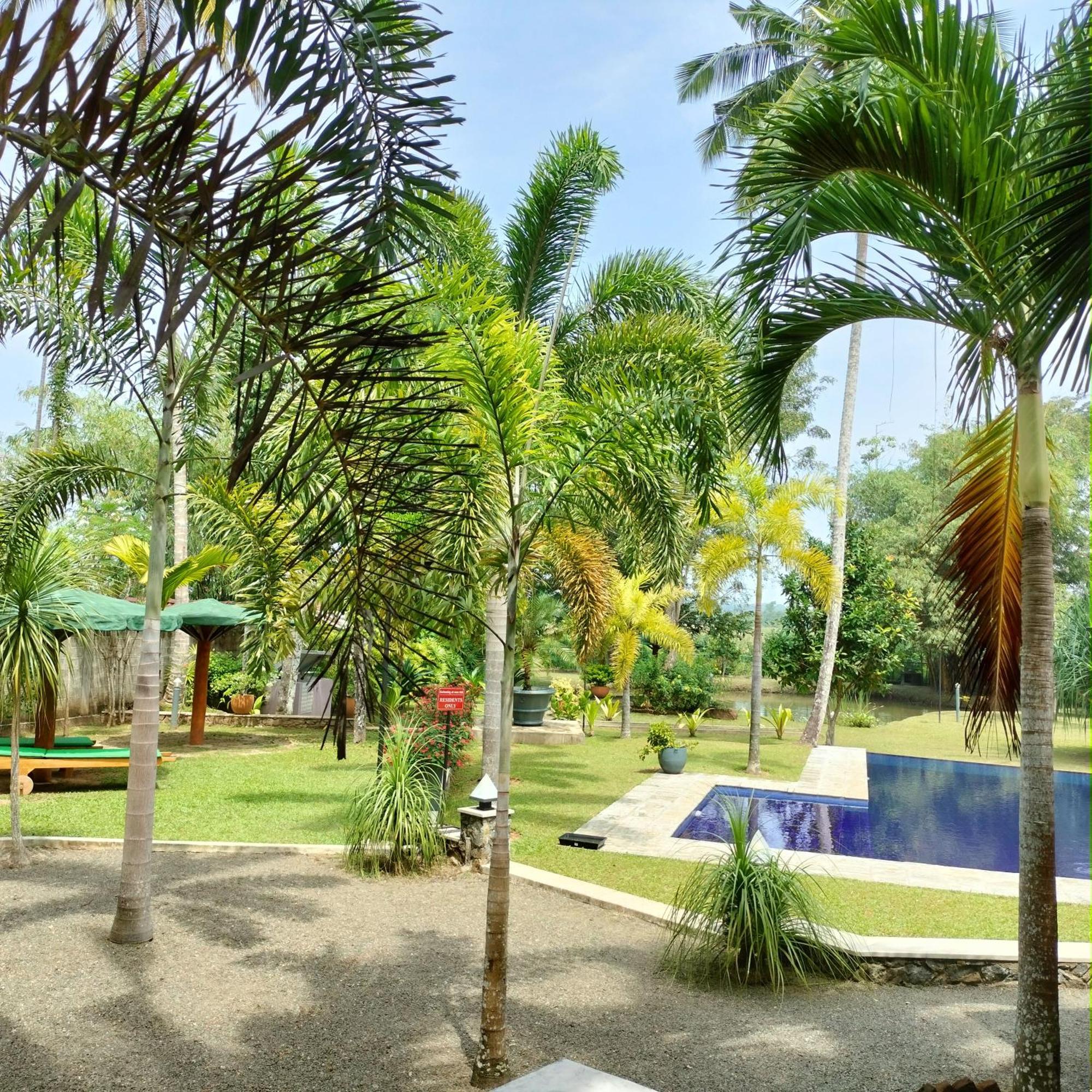 Avalon Village Resort Induruwa Exteriér fotografie