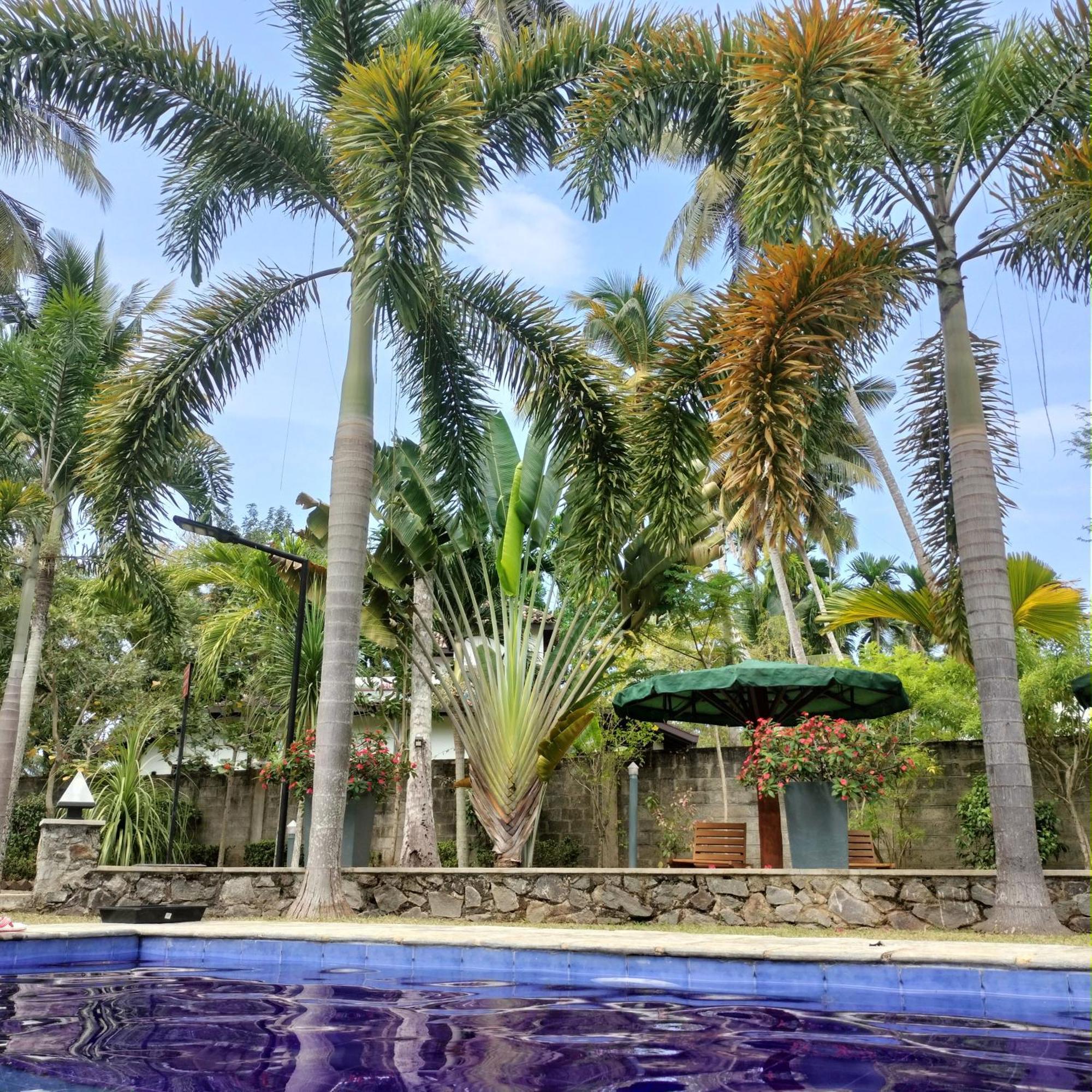 Avalon Village Resort Induruwa Exteriér fotografie