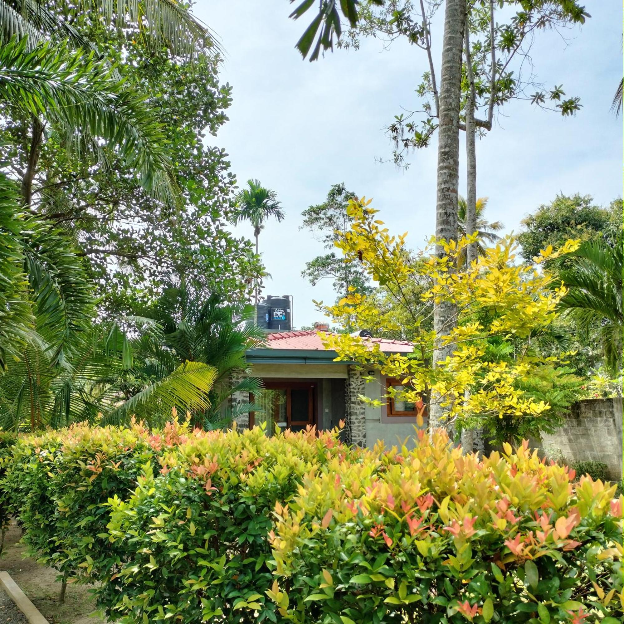 Avalon Village Resort Induruwa Exteriér fotografie