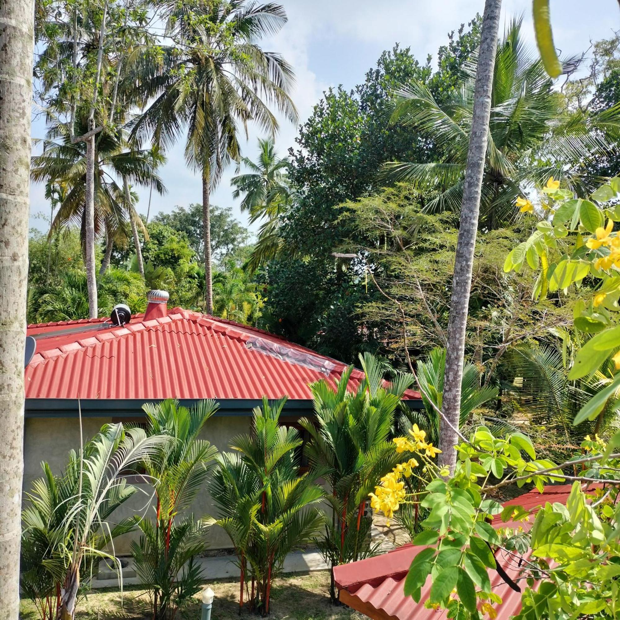 Avalon Village Resort Induruwa Exteriér fotografie