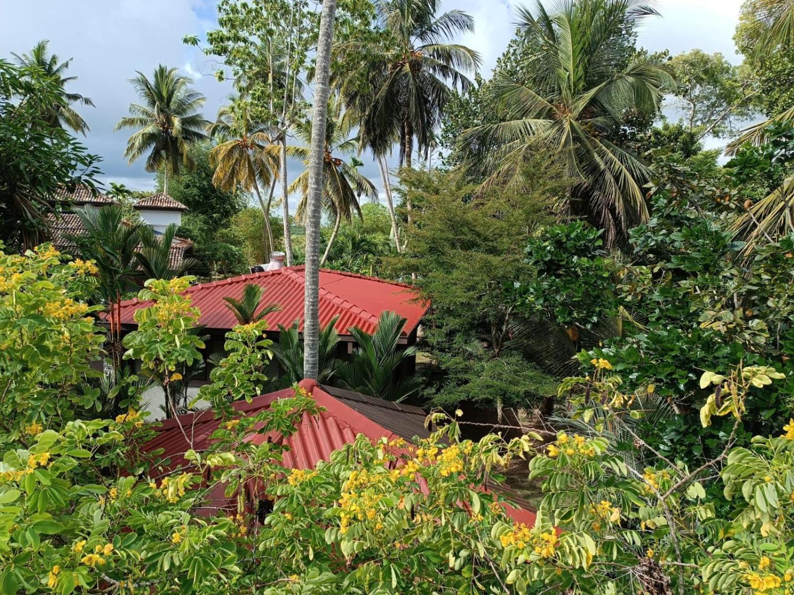 Avalon Village Resort Induruwa Exteriér fotografie